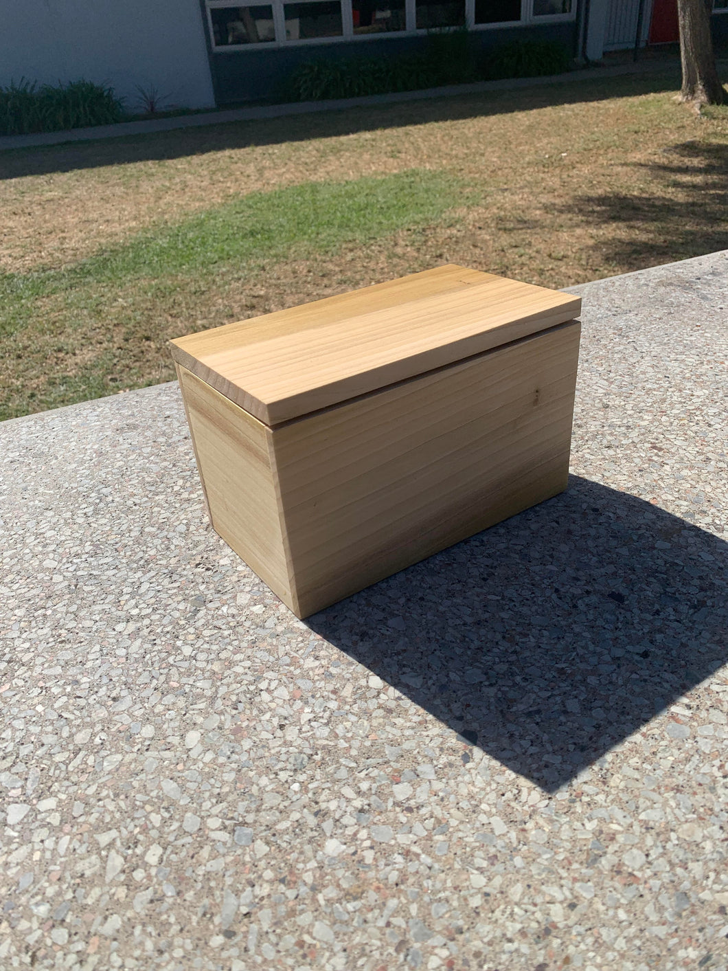 Poplar Box